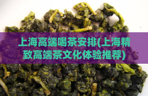 上海高端喝茶安排(上海精致高端茶文化体验推荐)