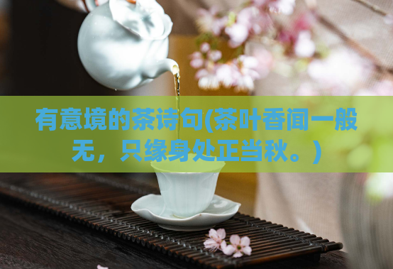 有意境的茶诗句(茶叶香闻一般无,只缘身处正当秋。)