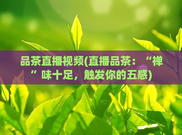 品茶直播视频(直播品茶：“禅”味十足，触发你的五感)