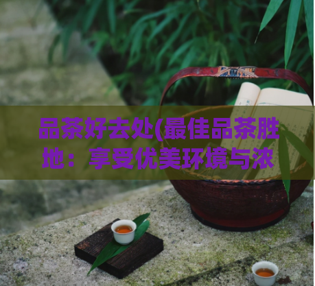 品茶好去处(最佳品茶胜地：享受优美环境与浓郁香气)