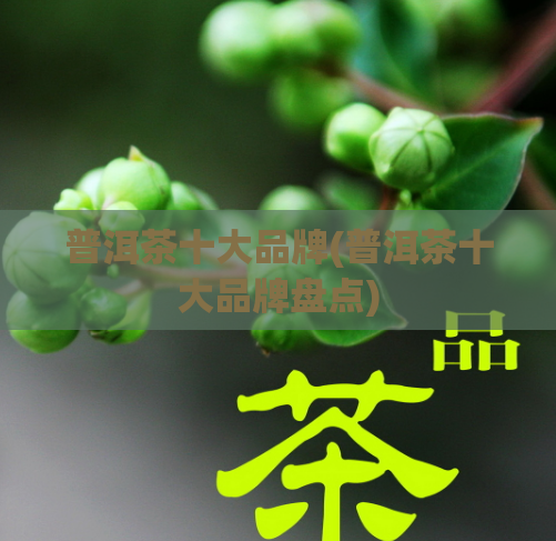 普洱茶十大品牌(普洱茶十大品牌盘点)