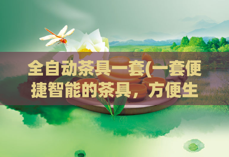 全自动茶具一套(一套便捷智能的茶具，方便生活更有品质)
