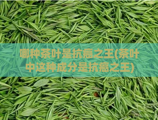 哪种茶叶是抗癌之王(茶叶中这种成分是抗癌之王)