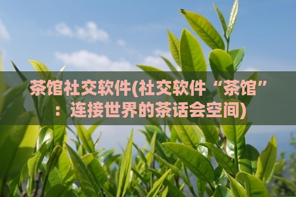 茶馆社交软件(社交软件“茶馆”:连接世界的茶话会空间)