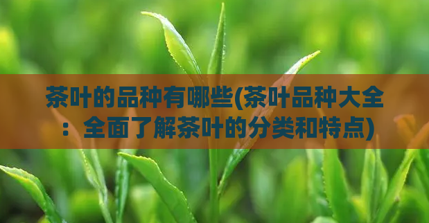 茶叶的品种有哪些(茶叶品种大全:全面了解茶叶的分类和特点)