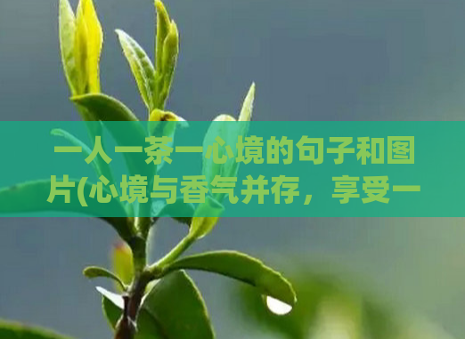 一人一茶一心境的句子和图片(心境与香气并存，享受一人一茶的慢时光)