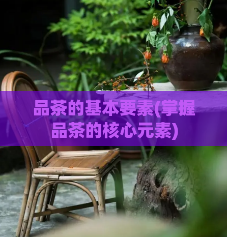 品茶的基本要素(掌握品茶的核心元素)