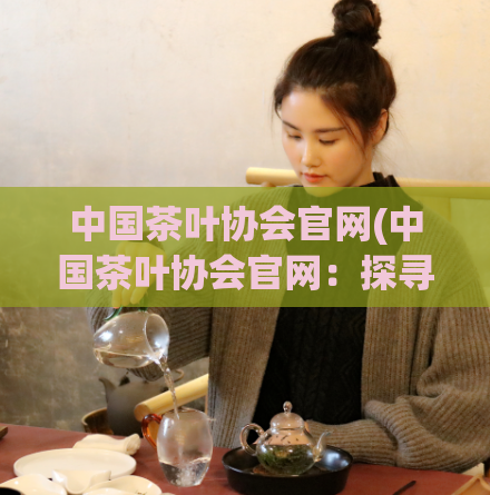 中国茶叶协会官网(中国茶叶协会官网：探寻中国茶叶文化精髓)