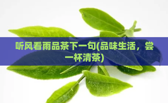 听风看雨品茶下一句(品味生活，尝一杯清茶)