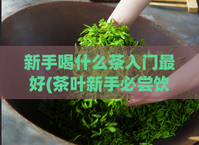 新手喝什么茶入门最好(茶叶新手必尝饮：推荐五种入门级名茶)