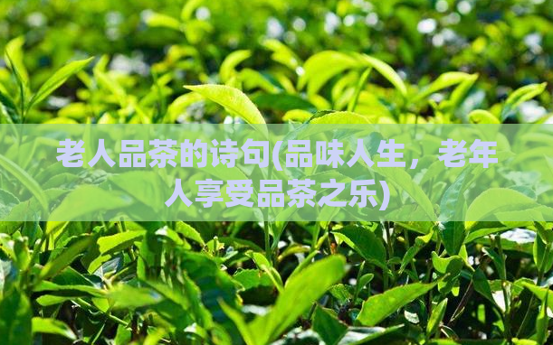老人品茶的诗句(品味人生，老年人享受品茶之乐)