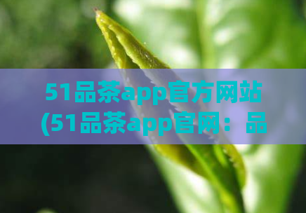 51品茶app官方网站(51品茶app官网：品味正宗中国茶文化)