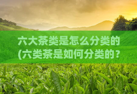 六大茶类是怎么分类的(六类茶是如何分类的？)