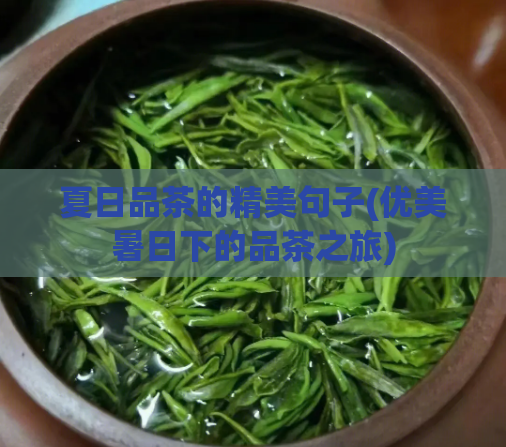 夏日品茶的精美句子(优美暑日下的品茶之旅)
