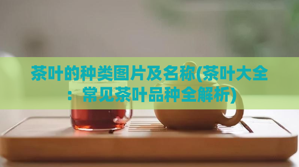 茶叶的种类图片及名称(茶叶大全:常见茶叶品种全解析)