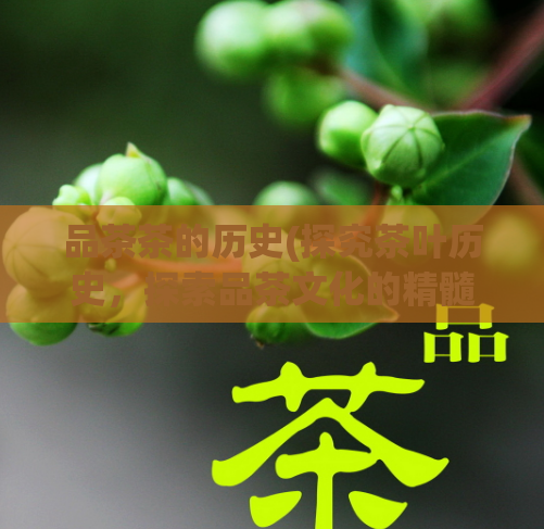 品茶茶的历史(探究茶叶历史，探索品茶文化的精髓)