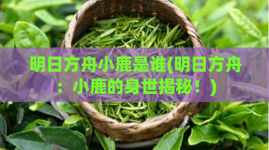 明日方舟小鹿是谁(明日方舟：小鹿的身世揭秘！)