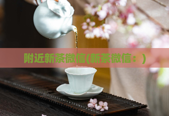 附近新茶微信(新茶微信：)