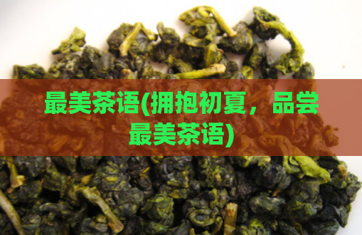 最美茶语(拥抱初夏,品尝最美茶语)