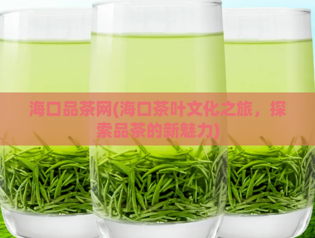 海口品茶网(海口茶叶文化之旅，探索品茶的新魅力)