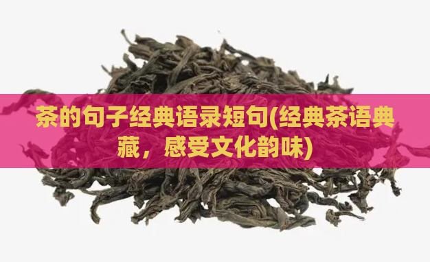 茶的句子经典语录短句(经典茶语典藏，感受文化韵味)