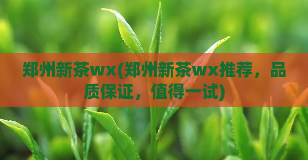 郑州新茶wx(郑州新茶wx推荐，品质保证，值得一试)