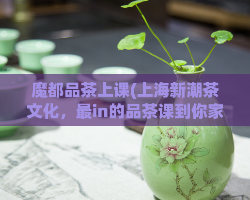 魔都品茶上课(上海新潮茶文化,最in的品茶课到你家)