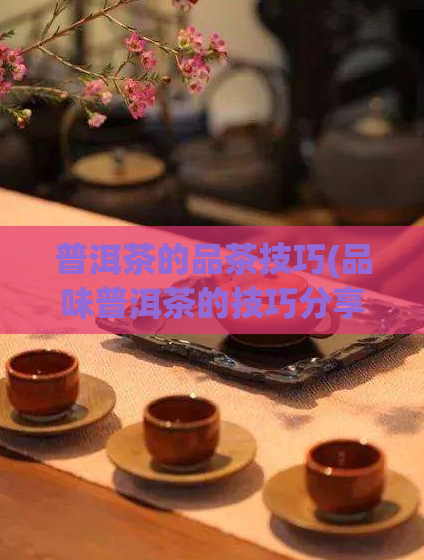普洱茶的品茶技巧(品味普洱茶的技巧分享)