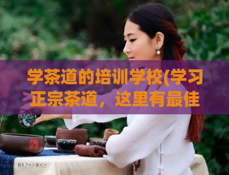 学茶道的培训学校(学习正宗茶道,这里有最佳的培训学校!)
