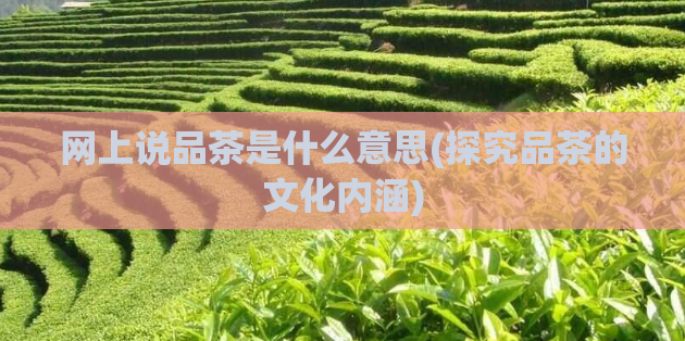 网上说品茶是什么意思(探究品茶的文化内涵)