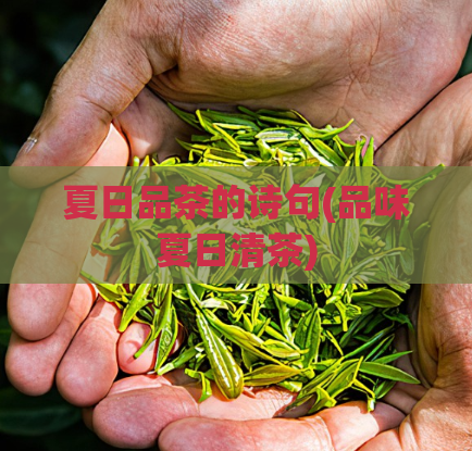 夏日品茶的诗句(品味夏日清茶)