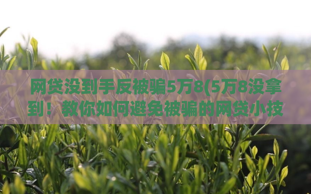 网贷没到手反被骗5万8(5万8没拿到!教你如何避免被骗的网贷小技巧)