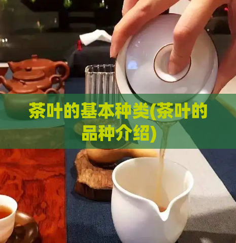 茶叶的基本种类(茶叶的品种介绍)