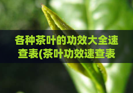 各种茶叶的功效大全速查表(茶叶功效速查表：各种茶叶的功效大全)