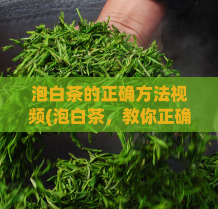 泡白茶的正确方法视频(泡白茶,教你正确的饮用方式!)