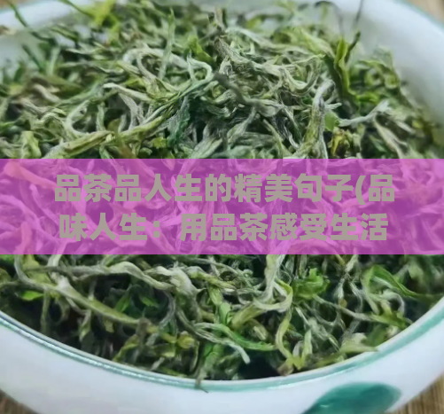 品茶品人生的精美句子(品味人生：用品茶感受生活)