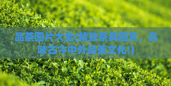 品茶图片大全(精致茶具图赏，品味古今中外品茶文化!)