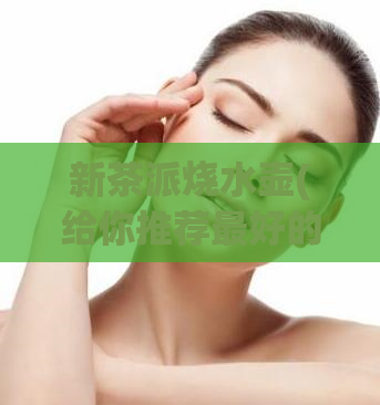 新茶派烧水壶(给你推荐最好的烧水壶-新茶派)