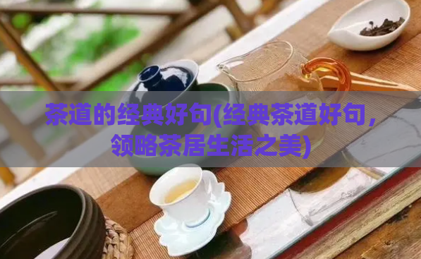 茶道的经典好句(经典茶道好句，领略茶居生活之美)