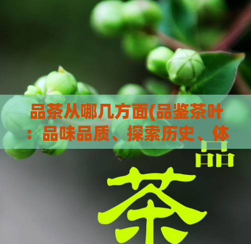 品茶从哪几方面(品鉴茶叶:品味品质、探索历史、体验美妙)