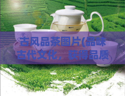 古风品茶图片(品味古代文化，获得品质人生)