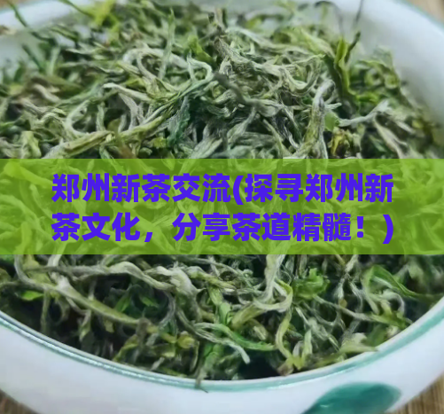 郑州新茶交流(探寻郑州新茶文化，分享茶道精髓！)