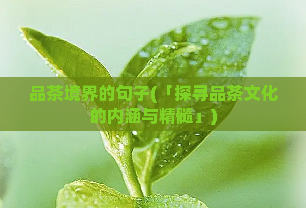 品茶境界的句子(「探寻品茶文化的内涵与精髓」)