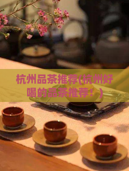 杭州品茶推荐(杭州好喝的品茶推荐！)