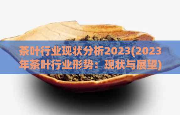 茶叶行业现状分析2023(2023年茶叶行业形势：现状与展望)