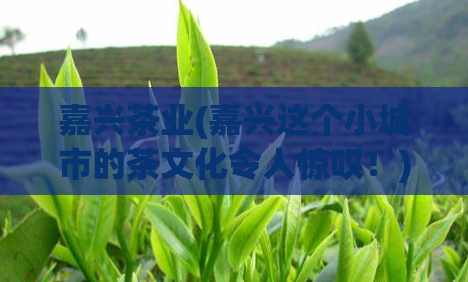 嘉兴茶业(嘉兴这个小城市的茶文化令人惊叹!)