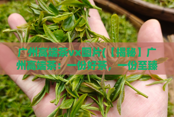 广州高端茶vx图片(【揭秘】广州高端茶:一份好茶,一份至臻享受!)
