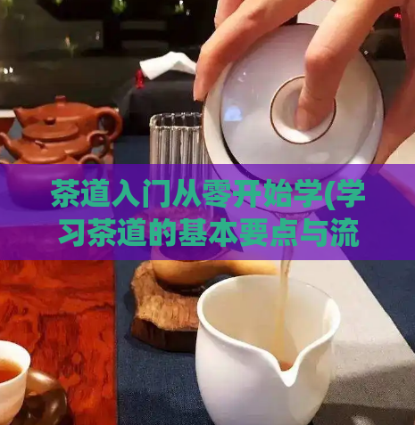 茶道入门从零开始学(学习茶道的基本要点与流程 - 全面解析茶道入门)