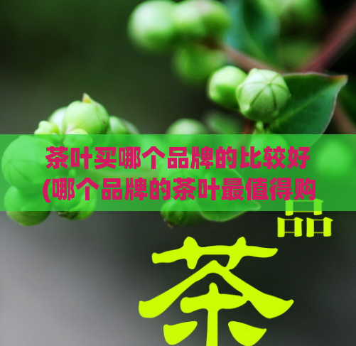 茶叶买哪个品牌的比较好(哪个品牌的茶叶最值得购买？)