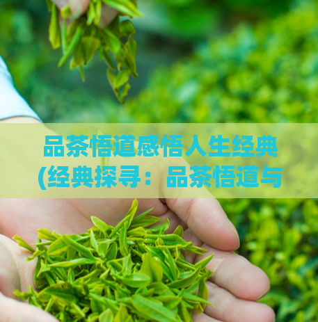 品茶悟道感悟人生经典(经典探寻：品茶悟道与人生感悟)